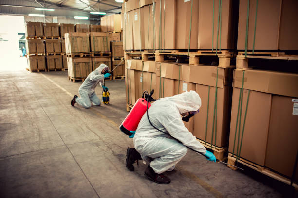 Best Best Pest Control Companies  in Arvada, CO