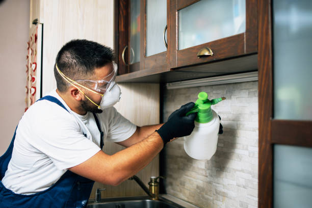 Trusted Arvada, CO Pest Control Experts