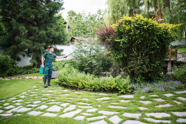 Best Wildlife Control Services  in Arvada, CO